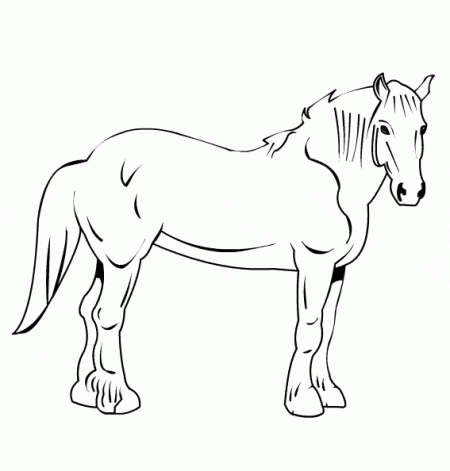 kon6