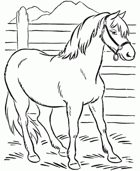 kon7